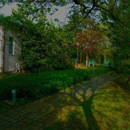 Rose Canine 4* Cesenatico