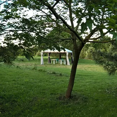 Pensionat Rose Canine 4*