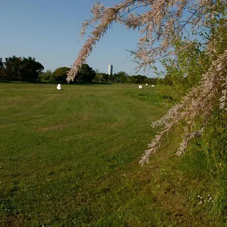 Rose Canine Casa de hóspedes Cesenatico