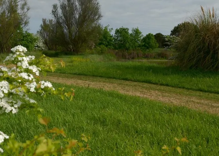 Rose Canine בית הארחה