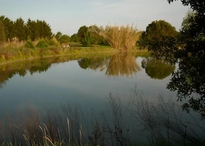 בית הארחה Rose Canine 4*