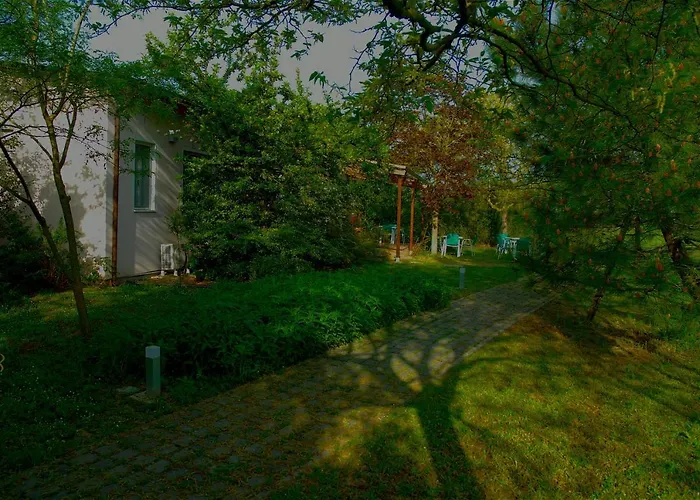 Rose Canine 4* تْشيزيناتيكو