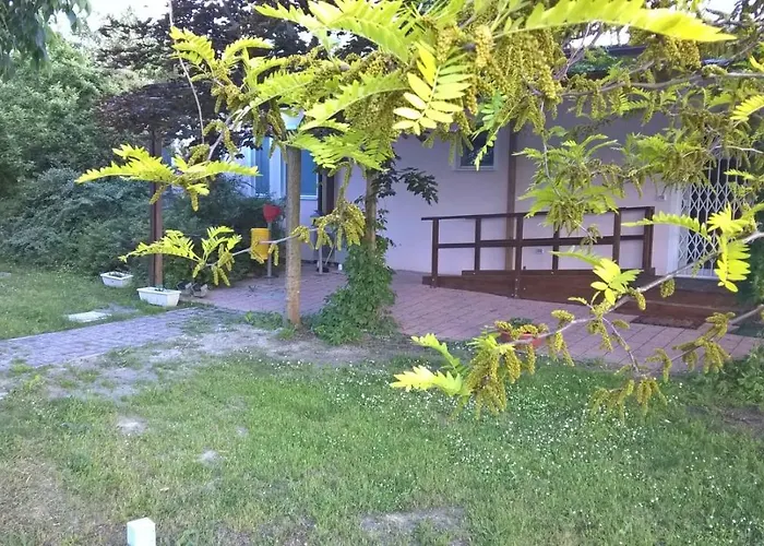 Rose Canine بيت ضيافة