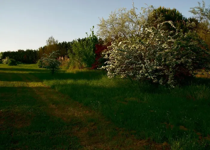 Rose Canine بيت ضيافة