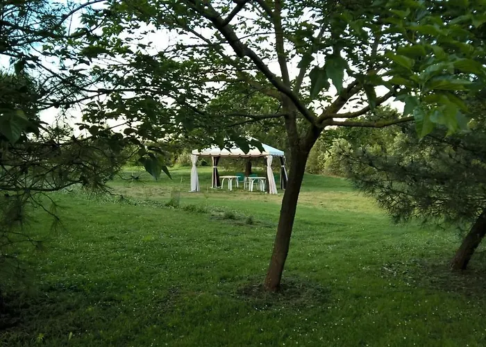 بيت ضيافة Rose Canine 4*