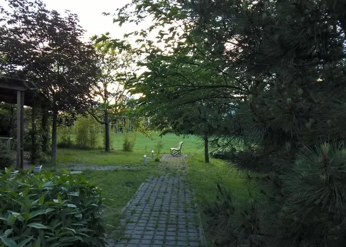 Rose Canine بيت ضيافة تْشيزيناتيكو