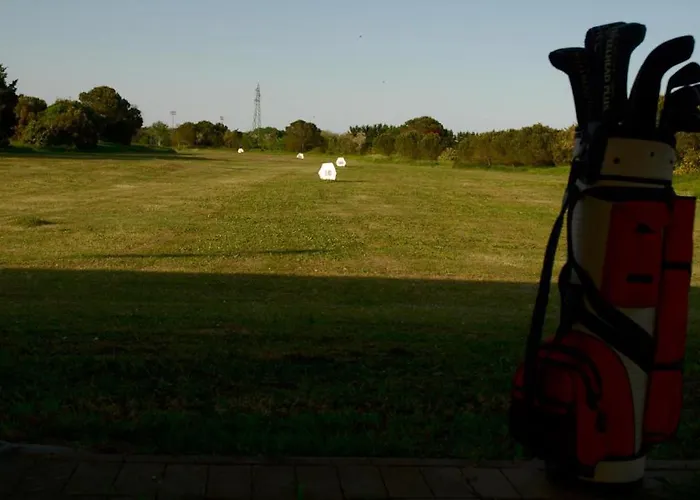 Rose Canine בית הארחה