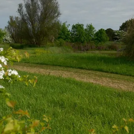 Rose Canine Πανσιόν