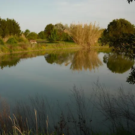 Gasthof Rose Canine 4*