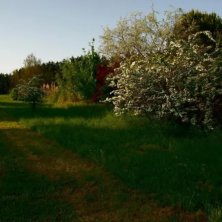 Rose Canine Pensjonat