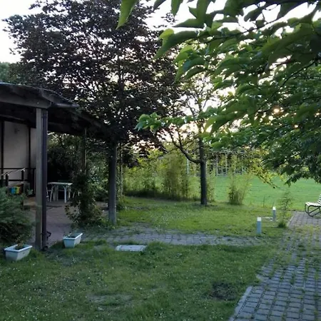 Rose Canine Πανσιόν Cesenatico