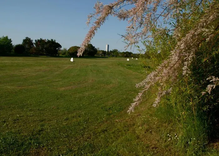 Rose Canine Pensjonat Cesenatico
